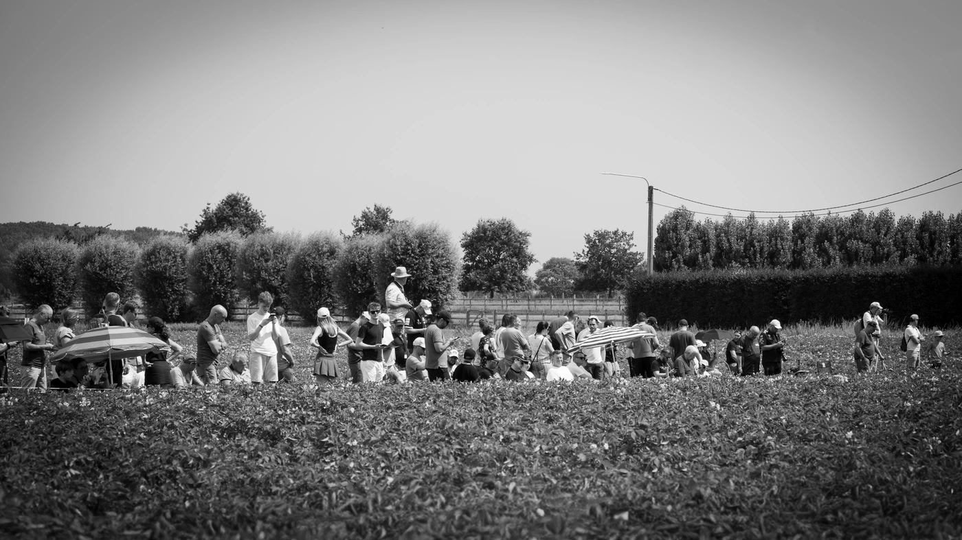 Ypres Rally